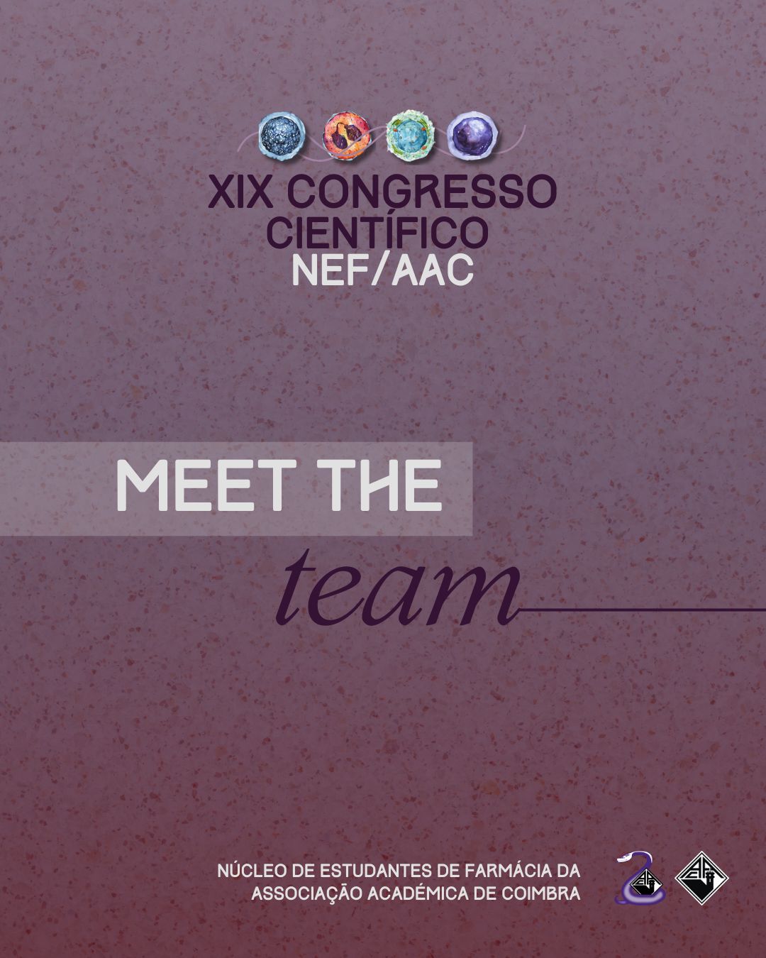 Meet the Team - Capa